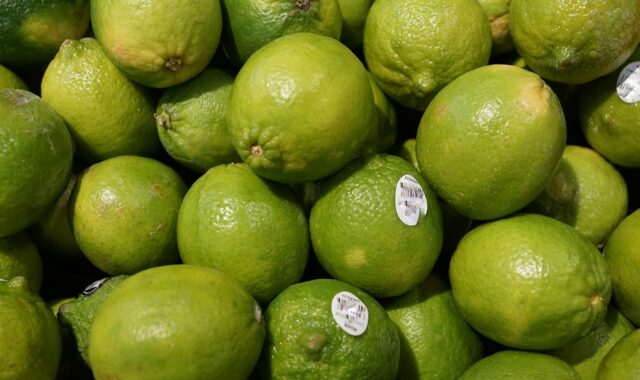 lime, fruit, vitamins, spring, fragrance, aroma, perfume, active ingredient, cosmetics, nature, spa, beauty, beautiful, cellular