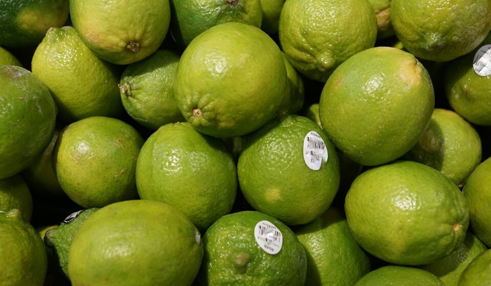 lime, fruit, vitamins, spring, fragrance, aroma, perfume, active ingredient, cosmetics, nature, spa, beauty, beautiful, cellular