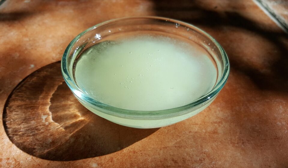 coconut oil, glass dish, organic, bowl, ayurveda, coconut oil, coconut oil, coconut oil, coconut oil, coconut oil