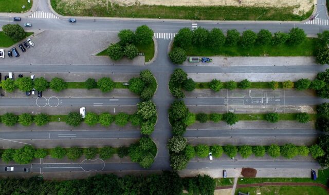 aerial view, cars, nature, design, line, outdoors, parking lot, pavement, road, row, trees, green car, green road, green design, green park