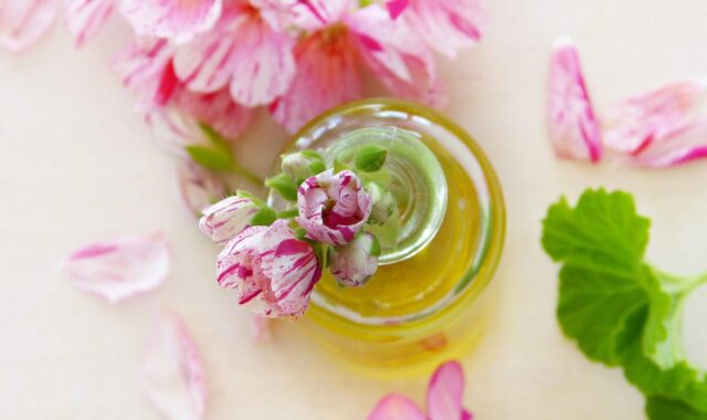 oil, geraniums, leaves, blossoms, essential oils, fragrance, health, aroma, aromatherapy, pink, nature, bio, naturally, cosmetics, beauty, maintenance, personal hygiene, skin, skin care, manufacturing, sesame oil, olive oil, linseed oil, coconut oil, wellness, recreation, relaxation, oil, essential oils, skin care, skin care, skin care, skin care, skin care, olive oil, coconut oil, coconut oil