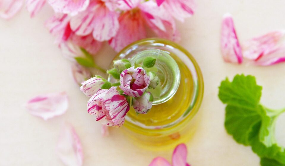 oil, geraniums, leaves, blossoms, essential oils, fragrance, health, aroma, aromatherapy, pink, nature, bio, naturally, cosmetics, beauty, maintenance, personal hygiene, skin, skin care, manufacturing, sesame oil, olive oil, linseed oil, coconut oil, wellness, recreation, relaxation, oil, essential oils, skin care, skin care, skin care, skin care, skin care, olive oil, coconut oil, coconut oil