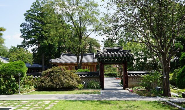 traditional, republic of korea, construct, korean, korean thing, premises, hanok, korean tradition, korea, landscape, tapy rouge, korean, korean, korean, korean, korean, hanok, hanok, korea, korea