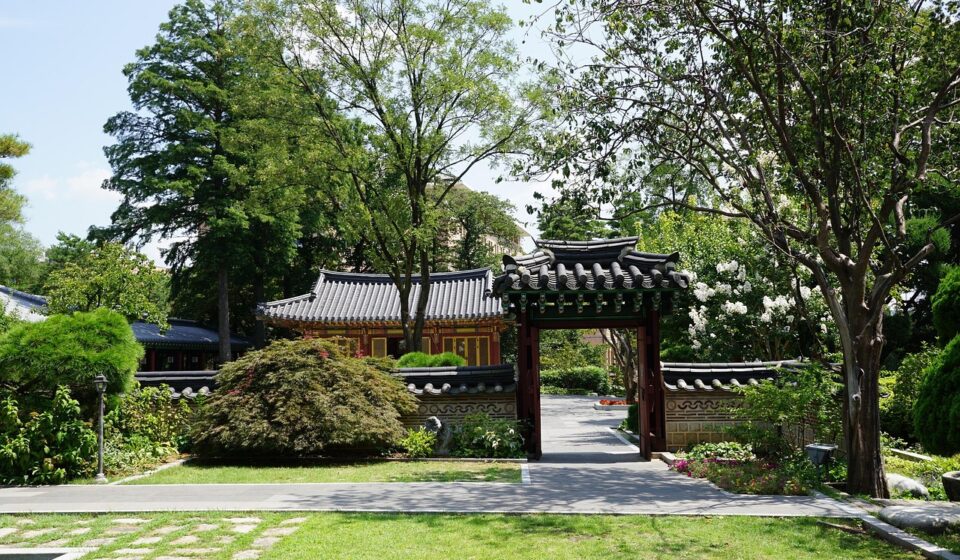 traditional, republic of korea, construct, korean, korean thing, premises, hanok, korean tradition, korea, landscape, tapy rouge, korean, korean, korean, korean, korean, hanok, hanok, korea, korea
