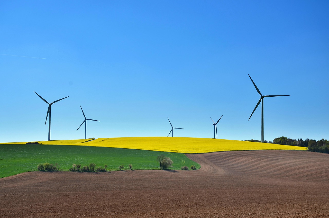 sustainable development, wind turbine, wind, energy, environment, electricity, turbine, green, technology, renewable, sustainable, blue, landscape, sustainable development, sustainable development, sustainable development, sustainable development, sustainable development, wind turbine, sustainable, sustainable