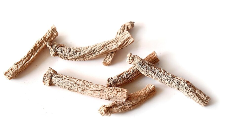 party ginseng, culinary herbs, traditional chinese medicine, spices