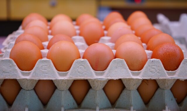 eggs, chicken eggs, egg carton, egg packaging, egg box, plate shape, stacked, eggs, eggs, eggs, eggs, eggs, egg carton, egg box