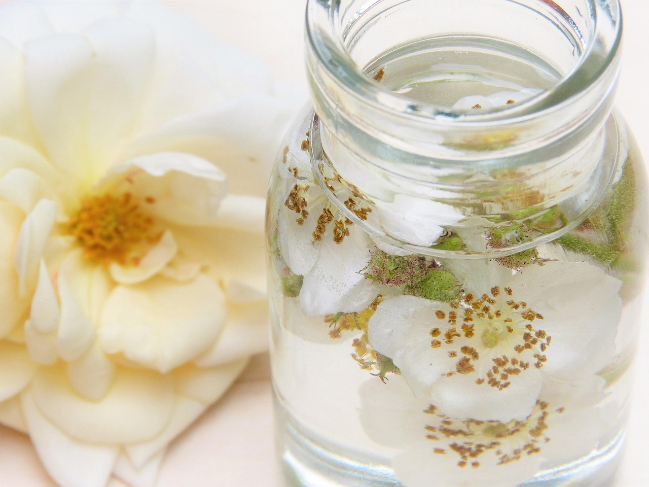 rose, water, glass, rose water, rose flower, cosmetics, wellness, essential oils, beauty, maintenance, skin, skin care, natural cosmetics, fragrance, naturally, bio, nature, petal, close up, deodorant, feel good, relax, health