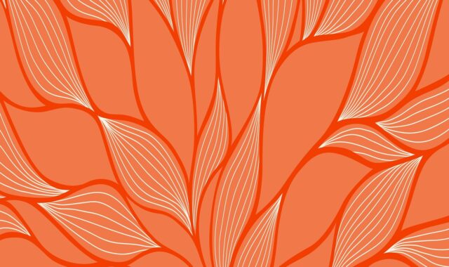 wallpaper, design, free wallpaper, wallpaper 4k, nature, 4k wallpaper 1920x1080, clip art, hd wallpaper, mac wallpaper, 4k wallpaper, free background, windows wallpaper, beautiful wallpaper, leaves, abstract, desktop backgrounds, minimalist, background, full hd wallpaper, cool backgrounds, laptop wallpaper, wallpaper hd, orange color
