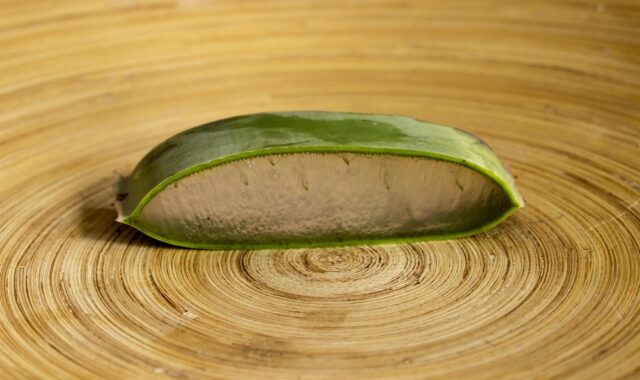 food, wooden, healthy, wood, desktop, aloe, vera, plant, medicine, table, flower wallpaper, spiral, bamboo, slice, skin, care, herbal, alternative, herb, nature, leaf, green, beautiful flowers, homeopathy, flower, natural, medicinal, essential, organic, botany, phytotherapy, brown plant, brown healthy, flower background, brown table, brown leaf, brown medicine, brown care, brown leaves, brown plants