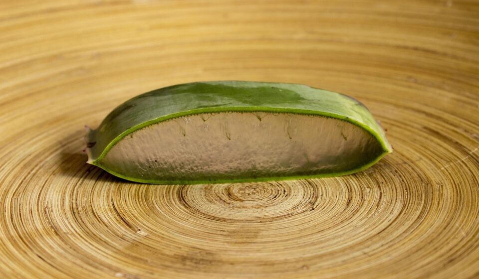 food, wooden, healthy, wood, desktop, aloe, vera, plant, medicine, table, flower wallpaper, spiral, bamboo, slice, skin, care, herbal, alternative, herb, nature, leaf, green, beautiful flowers, homeopathy, flower, natural, medicinal, essential, organic, botany, phytotherapy, brown plant, brown healthy, flower background, brown table, brown leaf, brown medicine, brown care, brown leaves, brown plants