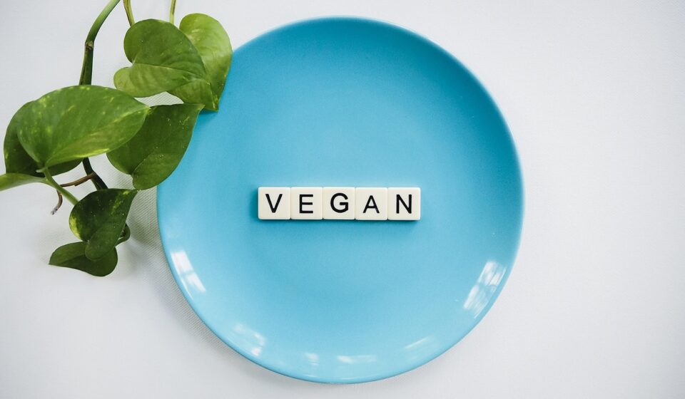 vegan, vegan diet, veganism, plant based, vegetables, plant based, plant based, plant based, plant based, plant based