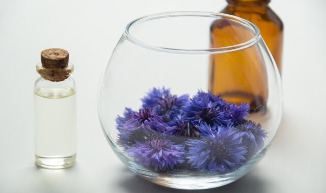 essential oils, cosmetology, oil cosmetic, knapweed, medicinal plants, herbal cosmetics, the medicine, chemistry, the science, glass bottle, natural cosmetic, body care, beauty, natural product, therapy, alternative medicine, wellness, essential oils, essential oils, chemistry, chemistry, chemistry, chemistry, chemistry