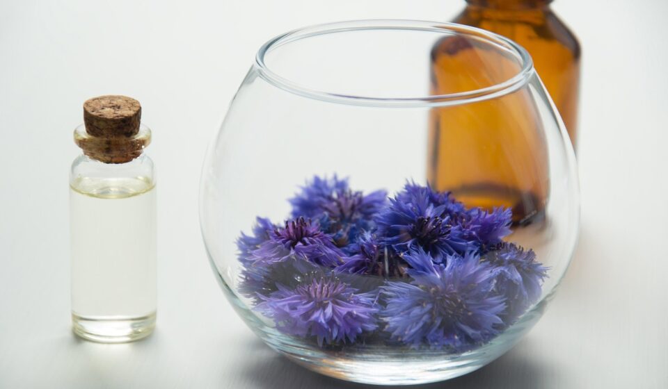 essential oils, cosmetology, oil cosmetic, knapweed, medicinal plants, herbal cosmetics, the medicine, chemistry, the science, glass bottle, natural cosmetic, body care, beauty, natural product, therapy, alternative medicine, wellness, essential oils, essential oils, chemistry, chemistry, chemistry, chemistry, chemistry
