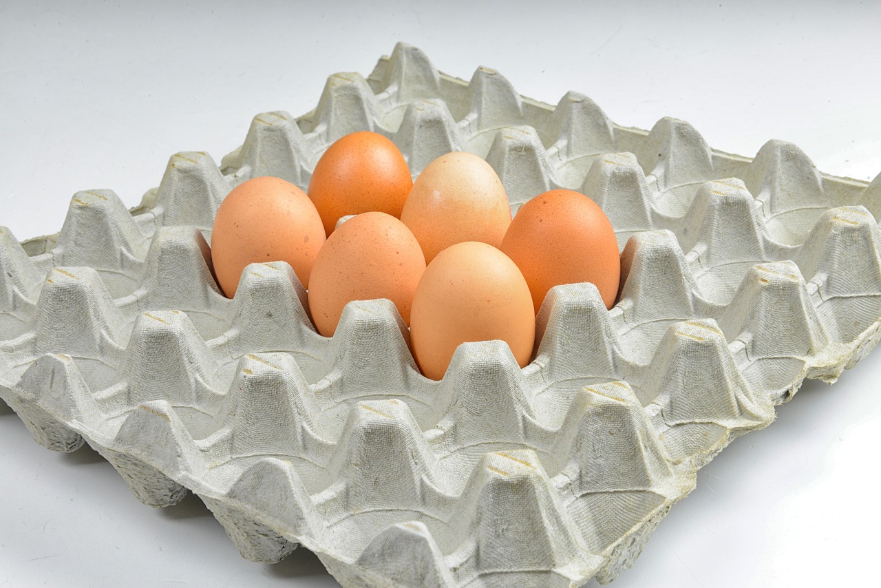 eggs, hen's egg, easter, protein, egg packaging, eggshell