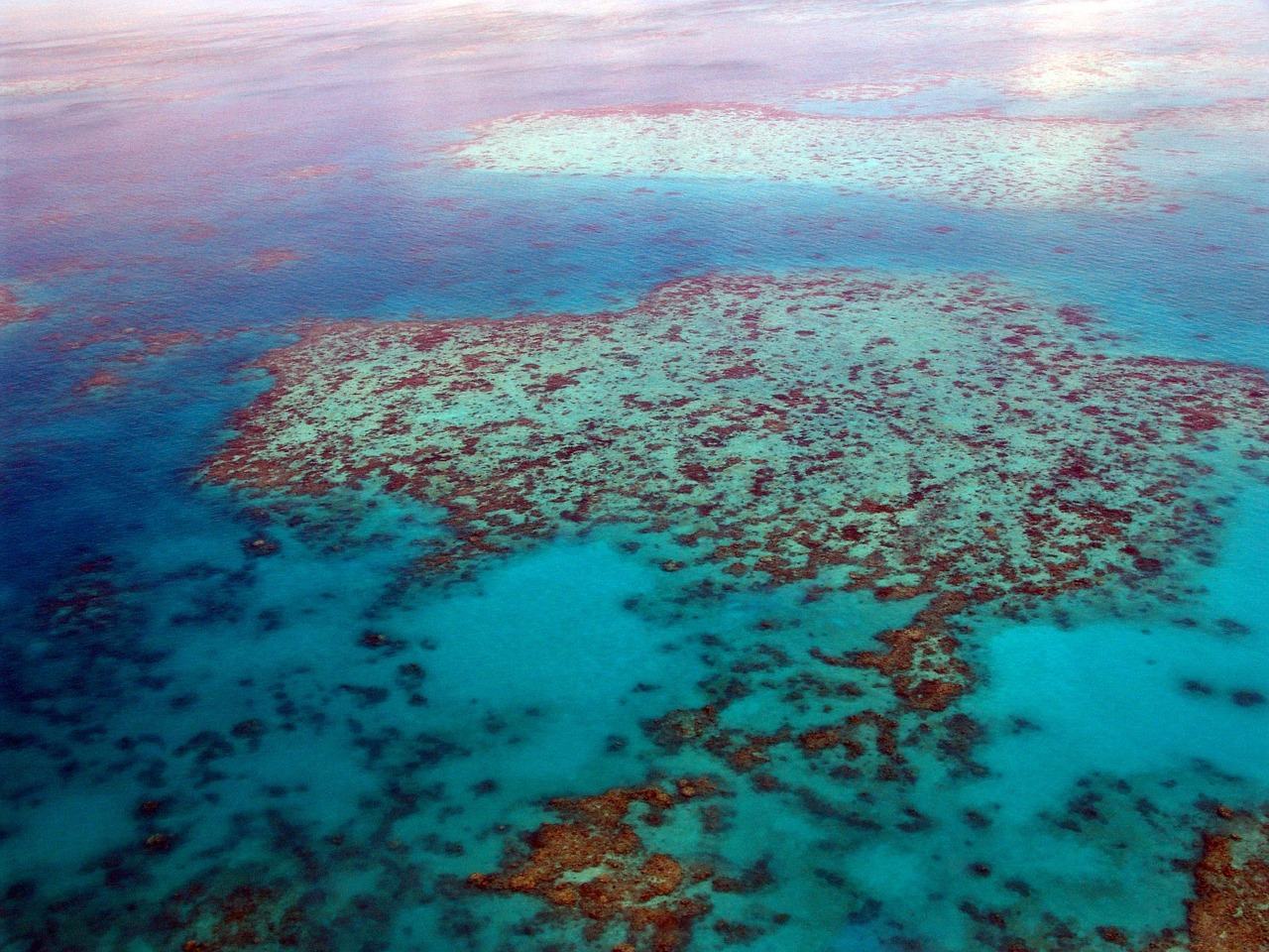 great barrier reef, dive, diving, nature, corals, ocean, pacific, aerial view, australia